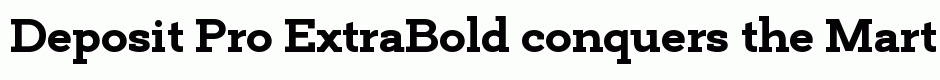 Deposit Pro ExtraBold
