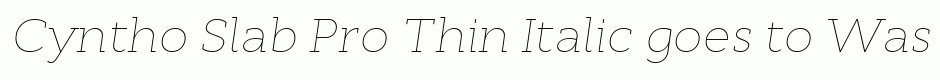 Cyntho Slab Pro Thin Italic