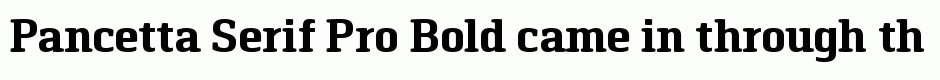 Pancetta Serif Pro Bold