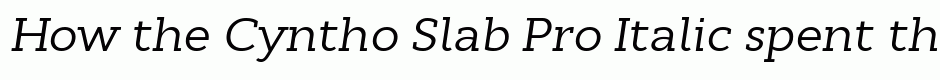 Cyntho Slab Pro Italic