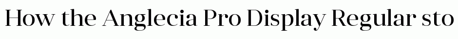 Anglecia Pro Display Regular