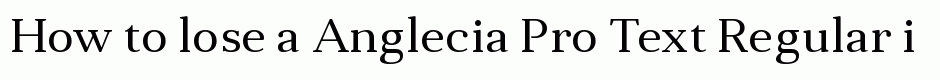 Anglecia Pro Text Regular
