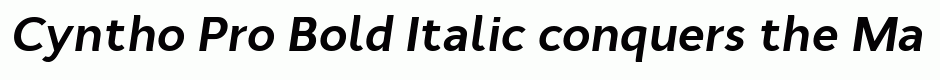 Cyntho Pro Bold Italic