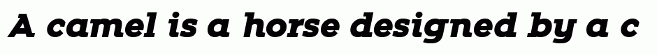 Zona Black Slab Italic