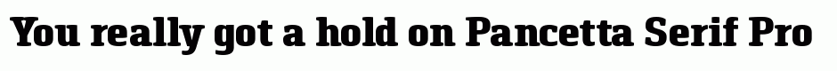 Pancetta Serif Pro Black