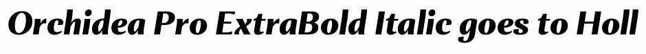Orchidea Pro ExtraBold Italic