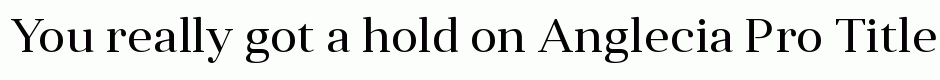 Anglecia Pro Title Regular