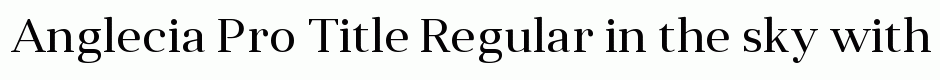 Anglecia Pro Title Regular