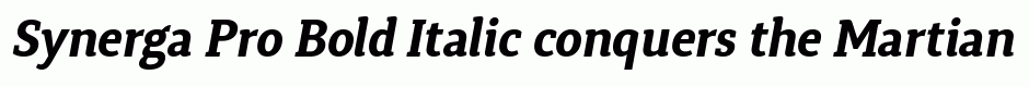 Synerga Pro Bold Italic