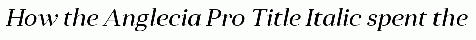 Anglecia Pro Title Italic