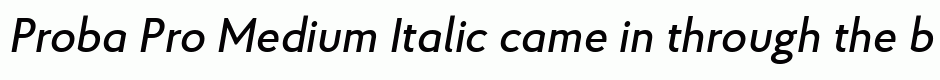 Proba Pro Medium Italic