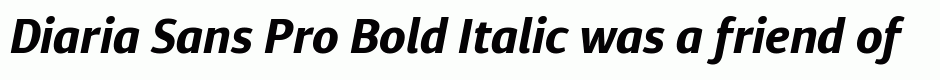 Diaria Sans Pro Bold Italic