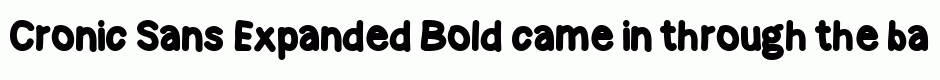 Cronic Sans Expanded Bold