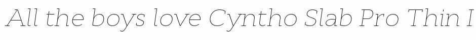 Cyntho Slab Pro Thin Italic