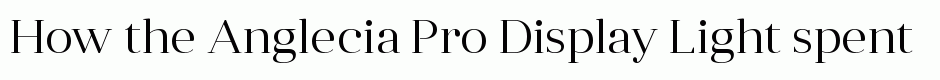 Anglecia Pro Display Light