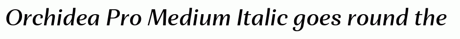 Orchidea Pro Medium Italic