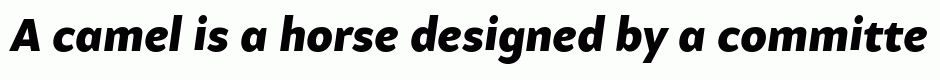 Samo Sans Pro Black Italic