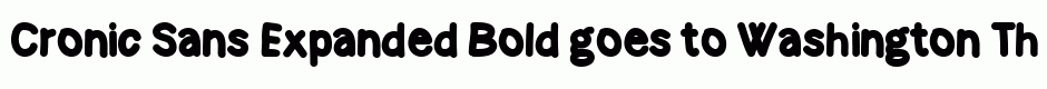 Cronic Sans Expanded Bold