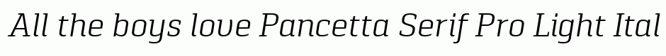 Pancetta Serif Pro Light Italic