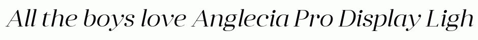 Anglecia Pro Display Light Italic