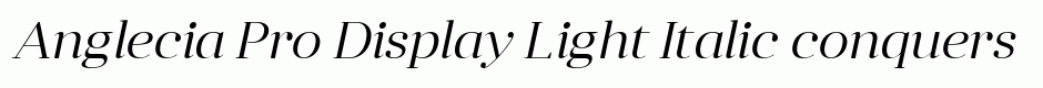 Anglecia Pro Display Light Italic