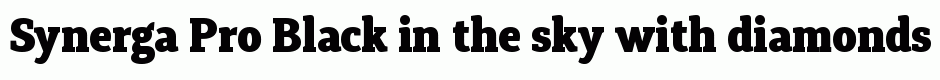 Synerga Pro Black