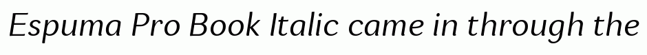 Espuma Pro Book Italic