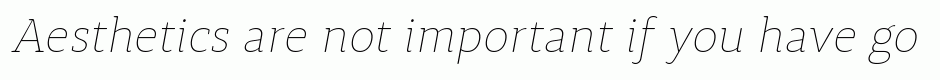 Synerga Pro Thin Italic
