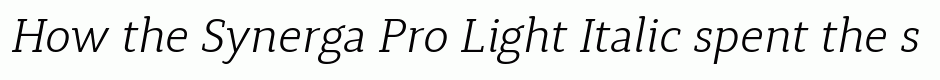 Synerga Pro Light Italic