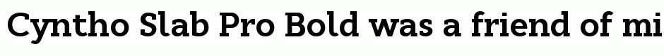 Cyntho Slab Pro Bold