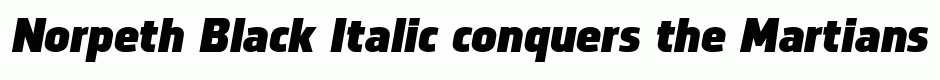 Norpeth Black Italic