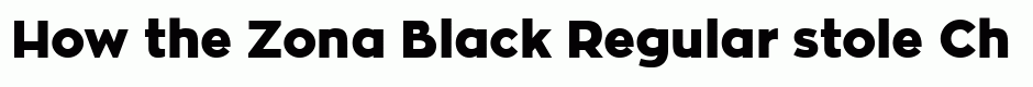 Zona Black Regular