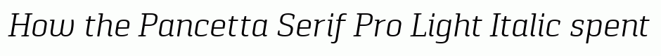 Pancetta Serif Pro Light Italic