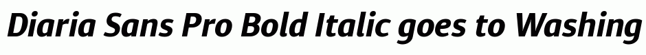 Diaria Sans Pro Bold Italic