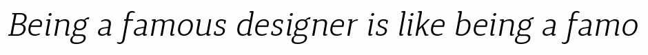 Synerga Pro Light Italic