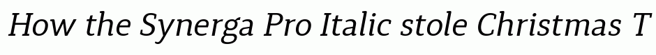 Synerga Pro Italic