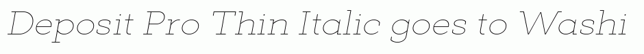 Deposit Pro Thin Italic