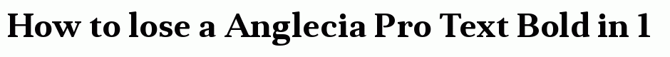 Anglecia Pro Text Bold