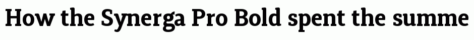 Synerga Pro Bold