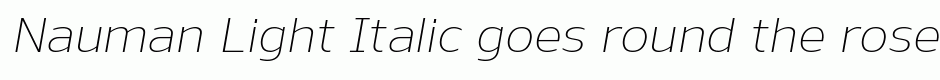 Nauman Light Italic