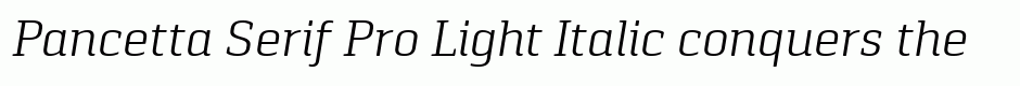 Pancetta Serif Pro Light Italic