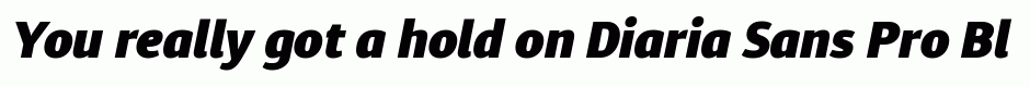 Diaria Sans Pro Black Italic