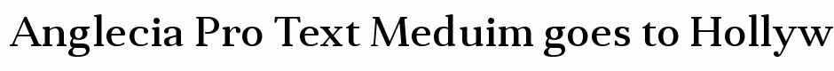 Anglecia Pro Text Meduim