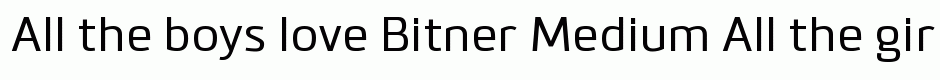 Bitner Medium