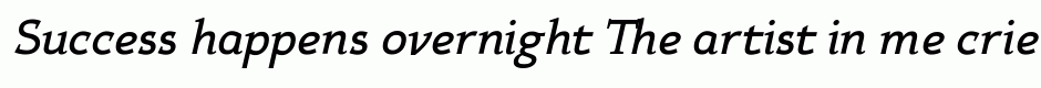 Xcetera bold italic