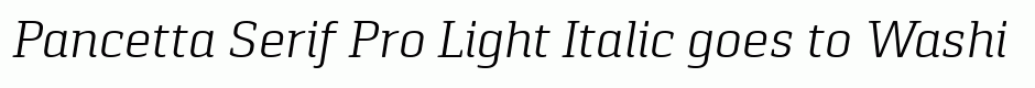 Pancetta Serif Pro Light Italic