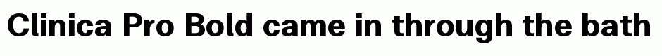 Clinica Pro Bold