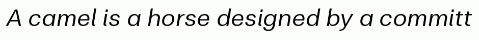 Clinica Pro Italic