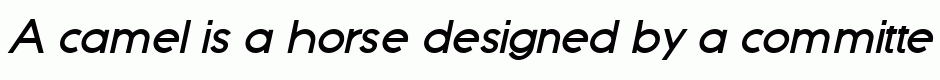Boston bold italic