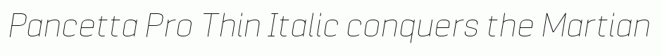 Pancetta Pro Thin Italic